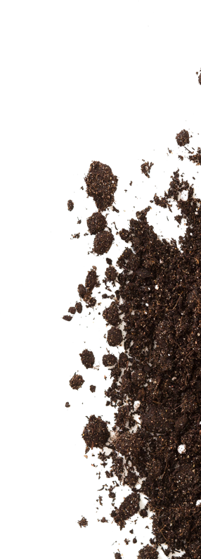 Dirt