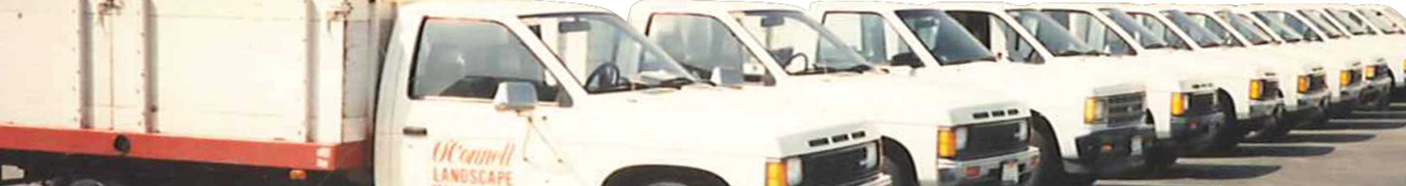 Van Fleet